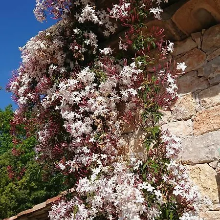 Sweet Aum Tourrettes-sur-Loup